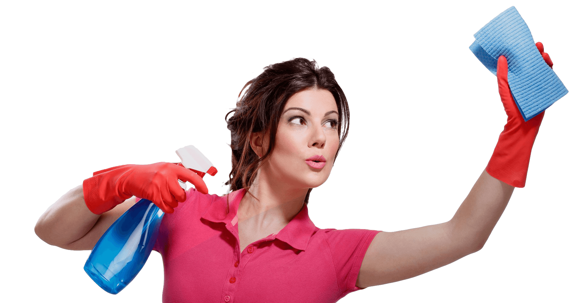 Pest Control Service in Noida Sector 62